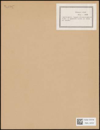 Landscapes: Egypt-chronological order & undated views at back of folder