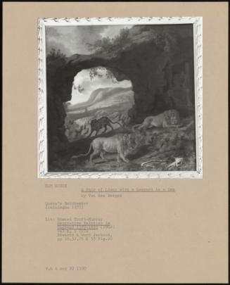 A Pair of Lions with a Leopard in a Den