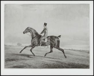 Exercising a Racehorse