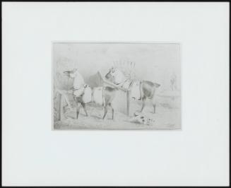 Stable Scene (Two Horses in a Stable); Hooded and Rugged in a Chall