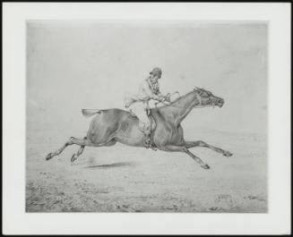 A Huntsman Cantering