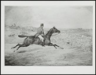 Going at a Wall–a Horseman on a Brown Horse