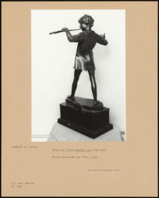 Peter Pan (Three-Quarter View From Back)