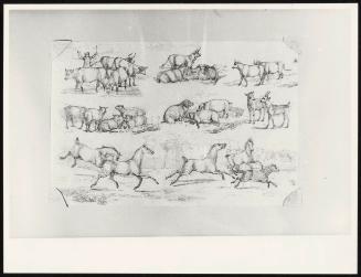 Landscape Scenery: Sketches of Cattle, Sheep, Pigs, Goats and Horses