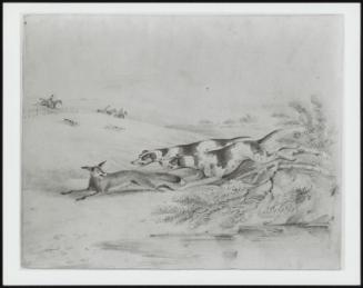 A Fox And Two Hounds; Loading Couple Of Hounds About To Kill Fox