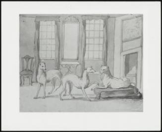 Three Greyhounds In A Room