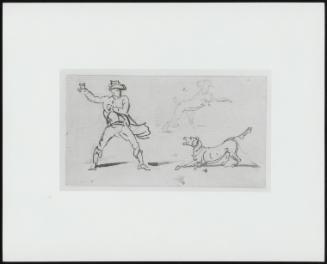 Man Throwing A Stone For A Dog