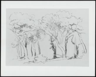 Study of Trees