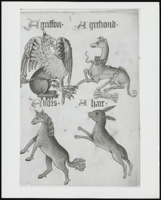 English Alphabet and Pattern Book–Page Depicting a Griffin, a Greyhound, a Harse and a Hare