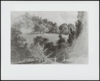 Landscape with Trees,