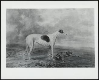 Portrait of a Greyhound with a Dead Hare
