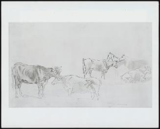 Study Of Cattle With Horses In The Background - One Of 24 Originally Bound