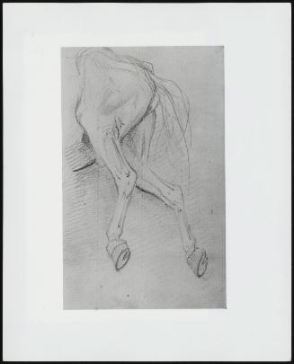 Study Of The Hindquarters Of A Horse - One Of 24 Originally Bound