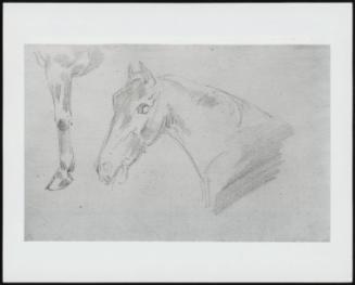 Study Of Head And Neck Of A Horse, Verso: Partial Sketch Of A Horse - One Of 24 Originally Bound