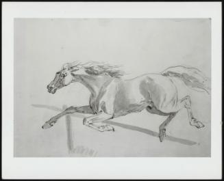 Sketch Of A Horse Jumping A Fence