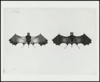 Two Bats