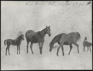 Mares and Foals: Sketched From the Prince of Wales's Stud at Aston Clinton, Bucks, 1791