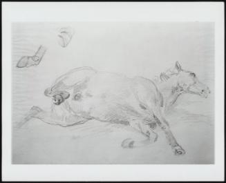 Study of a Horse Lying Down