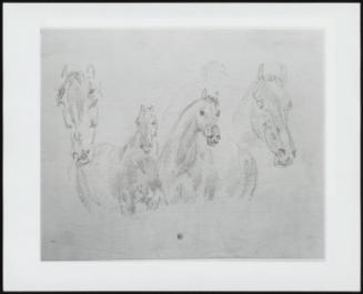 Four Horses, Figure Faintly Sketched In Backgound