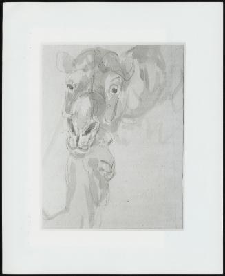 Study of a Camel's Head, Verso; Sketch of a Camel