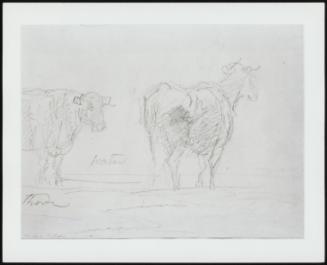 Country Landscape With Cattle Crossing A Stream, Verso: Study Of Cattle