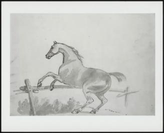 Sketch Of A Horse Starting Over A Fence