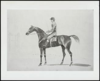 Horse And Rider Facing Left