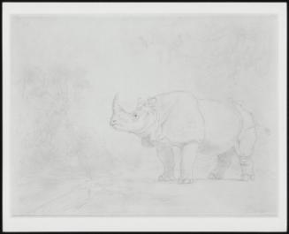 A Rhinoceros Standing on a River Bank