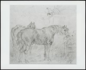 Horses in a Barn with Chickens and a Rooster on the Roof; Verso: Sketch of a Horse