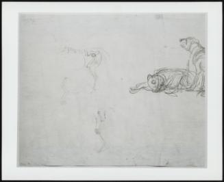 Study of a Camel Facing Right; Verso: Study of the Skeleton of a Horse