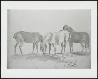 Three Standing Horses: Two With Heads Lowered Eating Grass