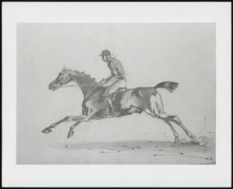 A Galloping Horse With Jockey Up