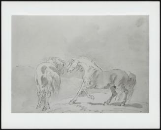 Two Horses In A Landscape