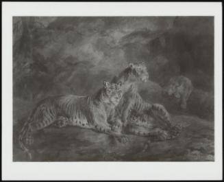 3 Tigers in a Rocky Landscape; Sketches of hounds running (verso)