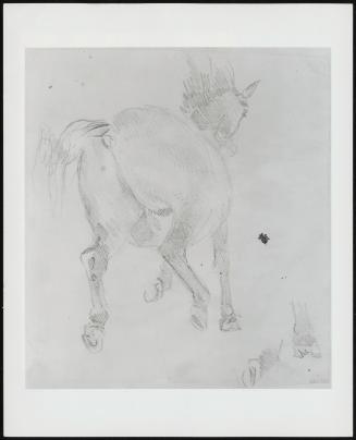 Study of a Cantering Horse–Verso, Study of a Horse