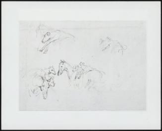 Study of Horses Carrying Calves on Their Backs