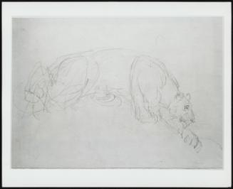 A Lion Stalking Its Prey- Verso: Study of a Sheepdog