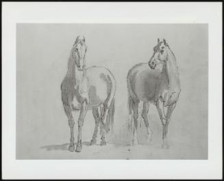 Sketch Of Two Standing Horses Looking Towards Each Other