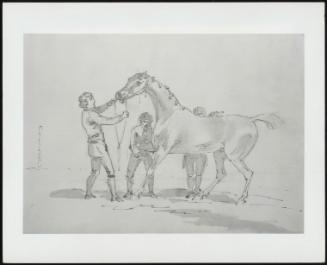 A Horse Being Held By A Groom And Rubbed Down By Two Stableboys