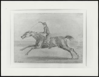 Racehorse Galloping