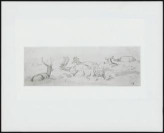 Stags and Deer at Rest–One of Fourteen