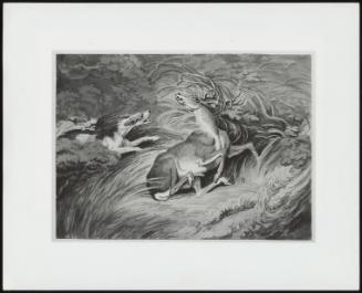 Two Hounds Attacking a Stag