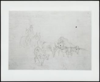 Study of Cattle with a Calf in Foreground