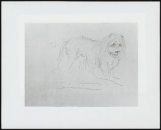 Study Of Lion, Verso: Study Of The Head And Shoulders Of A Deer - One Of 24 Originally Bound