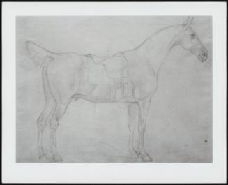 Saddled Horse Facing Right, Verso: Study Of A Horse - One Of 24 Originally Bound