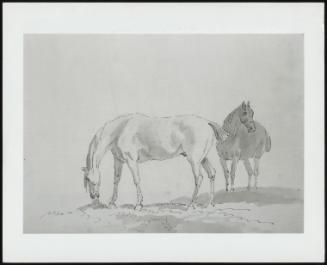 Sketch Of A Horse In Foreground Eating Grass With Standing Horse In Background At Right