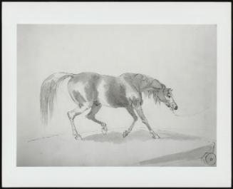 Sketch Of A Horse Tied Up On A Wagon