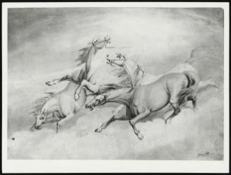 A Group of Four Frightened Horses