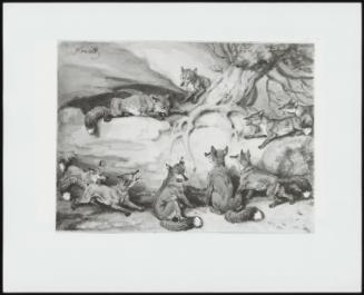 Nine Foxes Gather Under a Tree