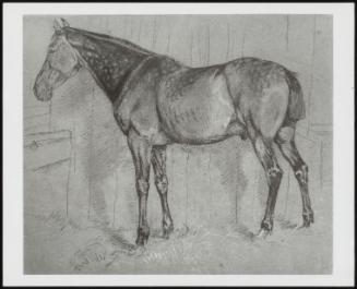 Study of a Horse: Dappled Horse in a Stable